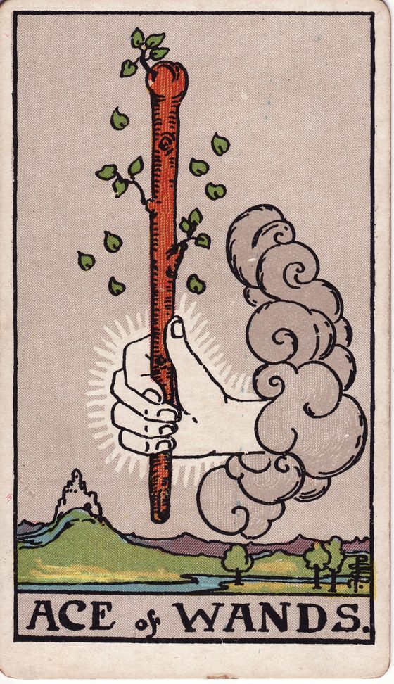 Ace of Wands — Rider-Waite tarot card