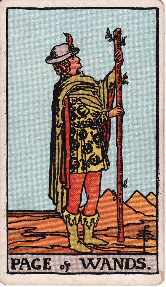 Page of Wands — Rider-Waite tarot card